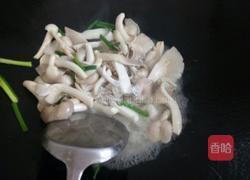 素炒平菇的做法图解7