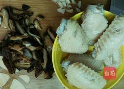 香菇烧鸡翅的做法图解6