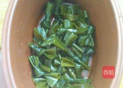 海带冬瓜排骨汤的做法图解3