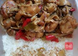 黄焖鸡腿肉的做法图解8