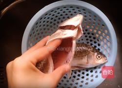 麻辣鲫鱼的做法图解2