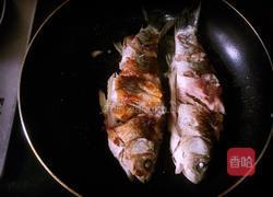 麻辣鲫鱼的做法图解7