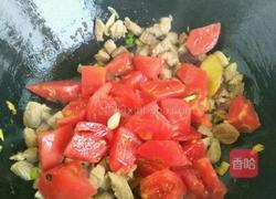 牛肉炖柿子的做法图解5