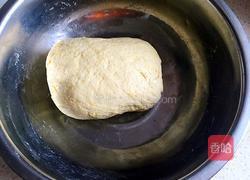 玉米面馒头的做法图解4