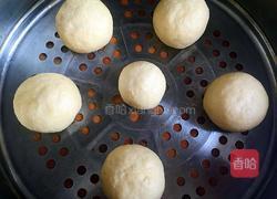 玉米面馒头的做法图解10