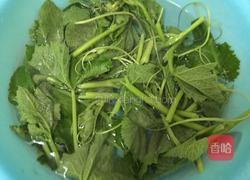 清炒南瓜秧的做法图解4