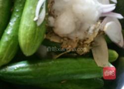 俄式酸黄瓜的做法图解3