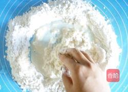 猪肉水煎包的做法图解2