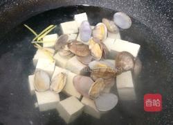 蛤蜊豆腐汤的做法图解5
