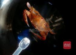 煮螃蟹的做法图解5