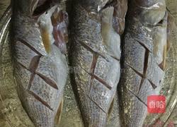 微波炉烤鱼的做法图解3