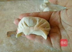 猪肉韭菜饺子的做法图解11