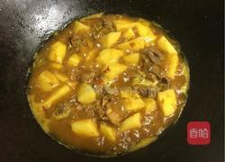 土豆咖喱鸡的做法图解7