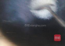 炒红薯叶的做法图解2