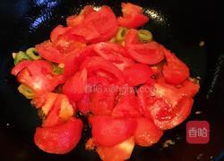 番茄炒西红柿的做法图解8