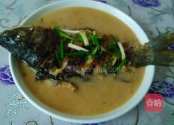 鲫鱼汤的做法图解4