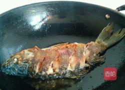 鲫鱼汤的做法图解3