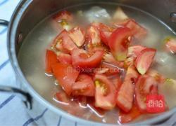 番茄排骨汤的做法图解6
