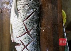 麻辣红烧鱼的做法图解2