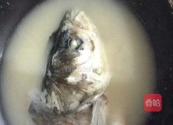 大头鱼汤的做法图解6