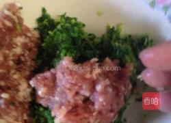 菜肉馄饨的做法图解4