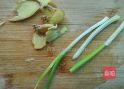 清蒸龙虾的做法图解2