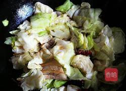 甘蓝炒肉的做法图解8