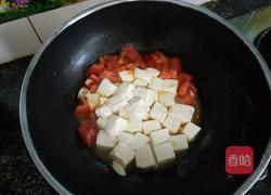 西红柿烧豆腐的做法图解6