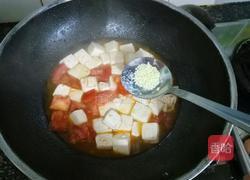西红柿烧豆腐的做法图解9