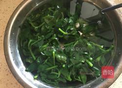 拌穿心莲的做法图解5