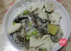 清炖鲫鱼的做法图解5