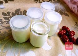 酸牛奶的做法图解11