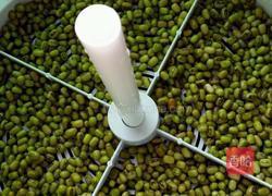 生绿豆芽的做法图解3