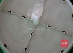 生绿豆芽的做法图解6