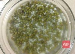 绿豆银耳粥的做法图解2