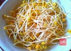 豆芽炖粉条的做法图解1