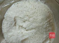 香菇猪肉包的做法图解8