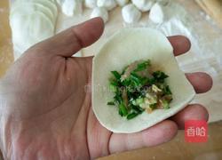 鸡蛋韭菜虾仁饺子的做法图解13