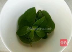 薄荷水的做法图解1