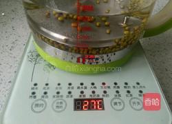 薄荷水的做法图解4