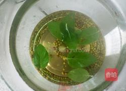 薄荷水的做法图解5