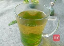 薄荷水的做法图解6