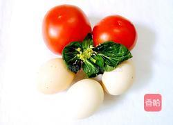 番茄鸡蛋的做法图解1