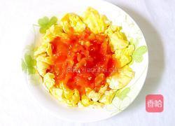 番茄鸡蛋的做法图解17
