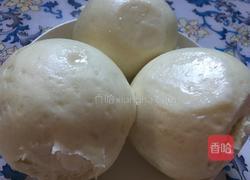 发面馒头的做法图解22