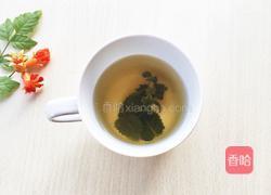 蜂蜜薄荷茶的做法图解4