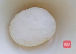 西红柿洋葱炒面的做法图解2