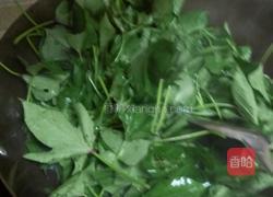炒红薯叶的做法图解6