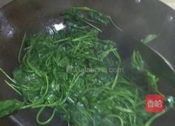 炒红薯叶的做法图解7