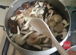 菌菇煲的做法图解8